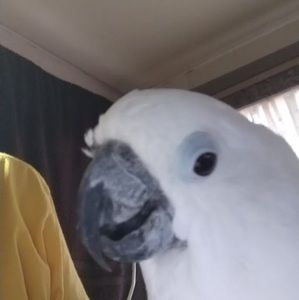 Meet your Posher, Diane